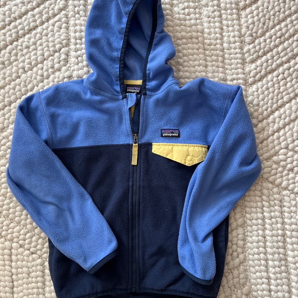 Patagonia Kids Micro D Snap-T Fleece Jacket